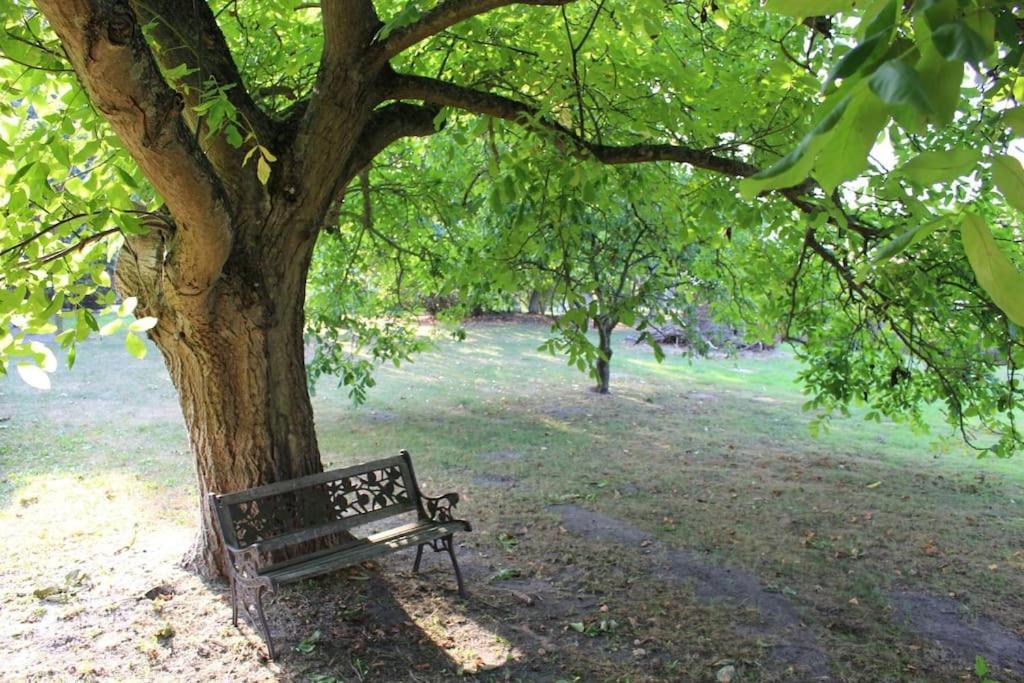 Romantische Ferienwohnung Unter Den Linden Buchholz  Εξωτερικό φωτογραφία